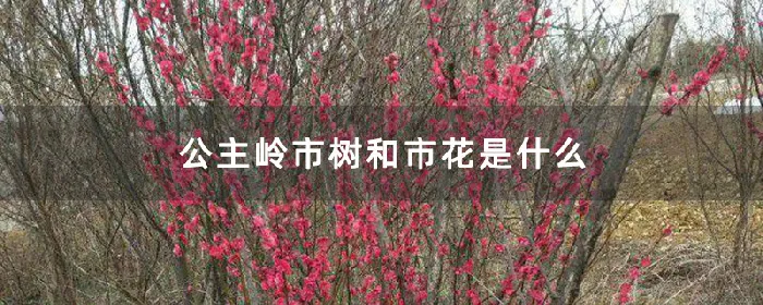 公主岭市树和市花是什么