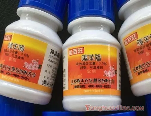 增大葡萄果粒的方法有哪些？增大葡萄果粒用什么药？